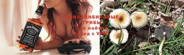 тгк Армянск